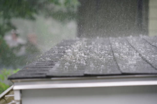 Best Roof Moss and Algae Removal  in Carlton, OR